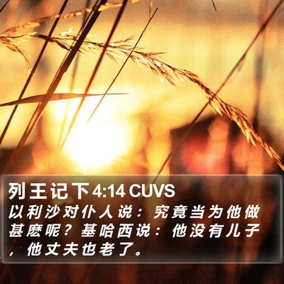 列 王 记 下 4:14 CUVS Bible Verse Image