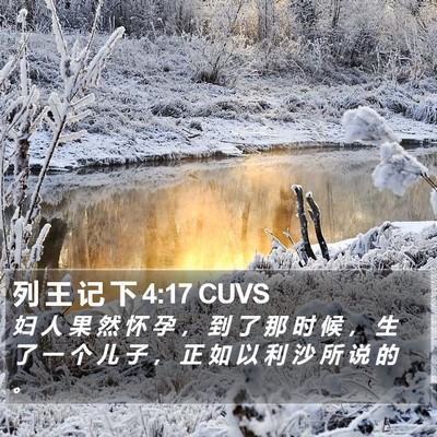 列 王 记 下 4:17 CUVS Bible Verse Image