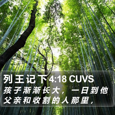 列 王 记 下 4:18 CUVS Bible Verse Image