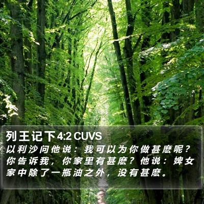 列 王 记 下 4:2 CUVS Bible Verse Image