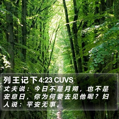 列 王 记 下 4:23 CUVS Bible Verse Image