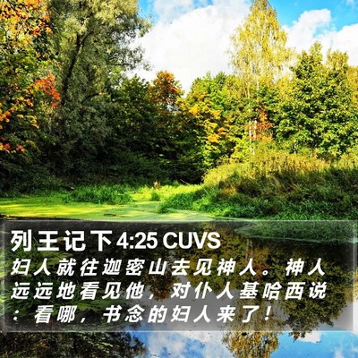 列 王 记 下 4:25 CUVS Bible Verse Image