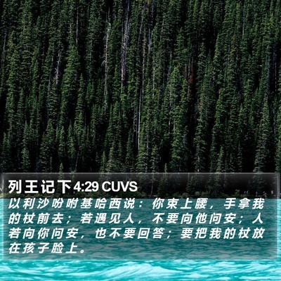 列 王 记 下 4:29 CUVS Bible Verse Image