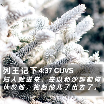 列 王 记 下 4:37 CUVS Bible Verse Image