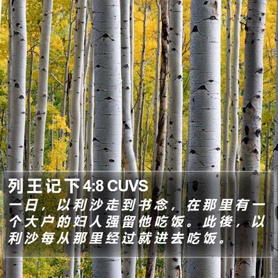 列 王 记 下 4:8 CUVS Bible Verse Image