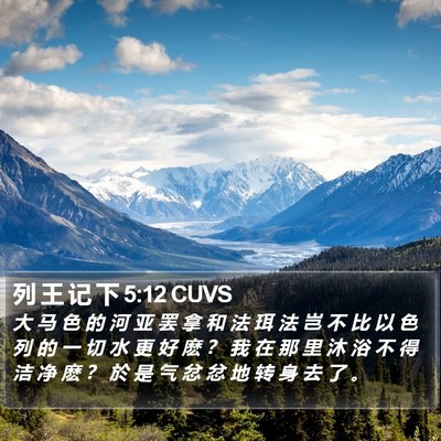 列 王 记 下 5:12 CUVS Bible Verse Image