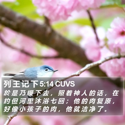列 王 记 下 5:14 CUVS Bible Verse Image