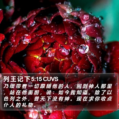 列 王 记 下 5:15 CUVS Bible Verse Image
