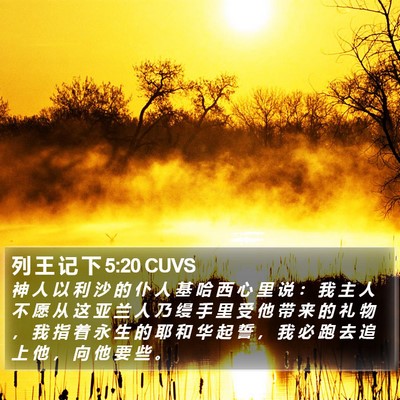 列 王 记 下 5:20 CUVS Bible Verse Image