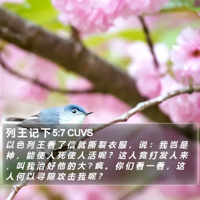 列 王 记 下 5:7 CUVS Bible Verse Image