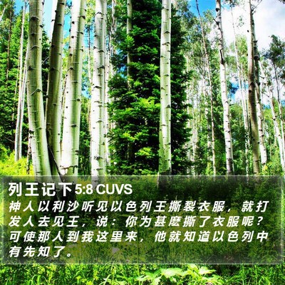 列 王 记 下 5:8 CUVS Bible Verse Image