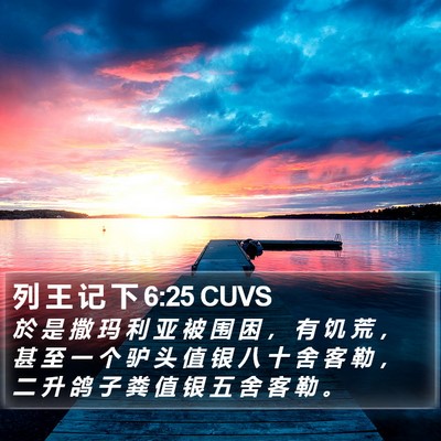 列 王 记 下 6:25 CUVS Bible Verse Image