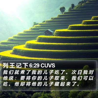 列 王 记 下 6:29 CUVS Bible Verse Image