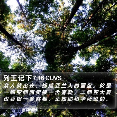 列 王 记 下 7:16 CUVS Bible Verse Image