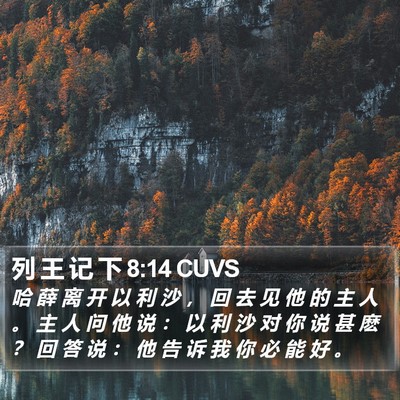 列 王 记 下 8:14 CUVS Bible Verse Image
