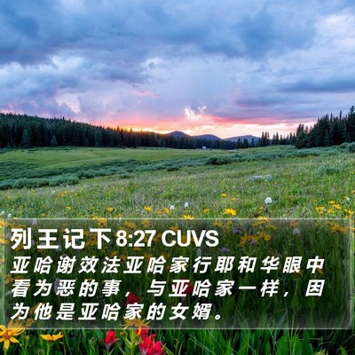 列 王 记 下 8:27 CUVS Bible Verse Image