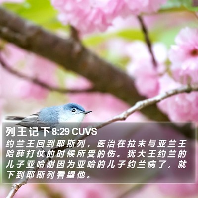 列 王 记 下 8:29 CUVS Bible Verse Image