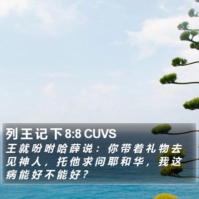 列 王 记 下 8:8 CUVS Bible Verse Image