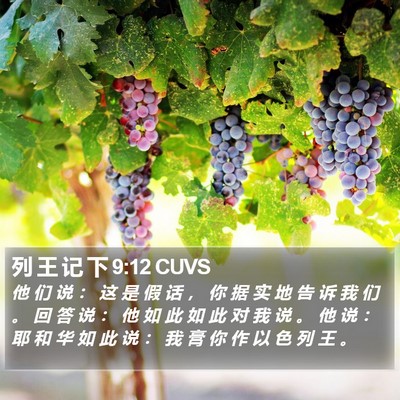 列 王 记 下 9:12 CUVS Bible Verse Image