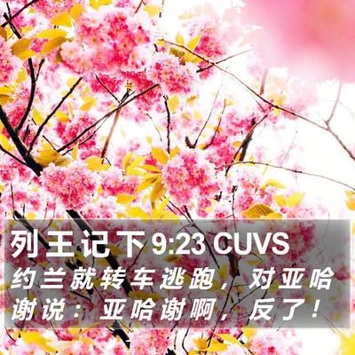 列 王 记 下 9:23 CUVS Bible Verse Image