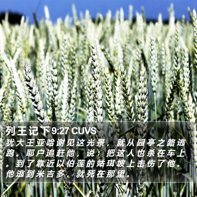 列 王 记 下 9:27 CUVS Bible Verse Image