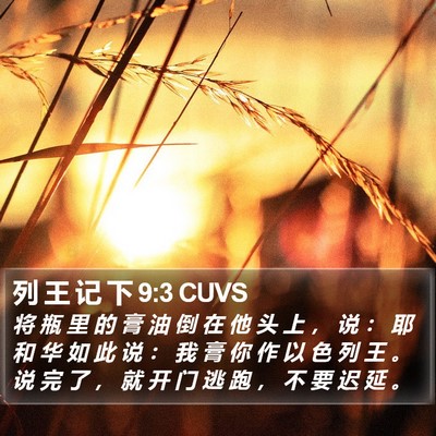 列 王 记 下 9:3 CUVS Bible Verse Image