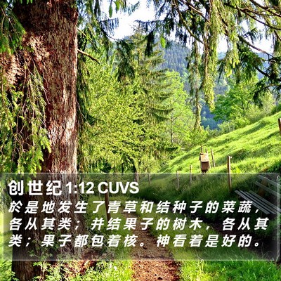 创 世 纪 1:12 CUVS Bible Verse Image