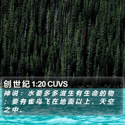 创 世 纪 1:20 CUVS Bible Verse Image