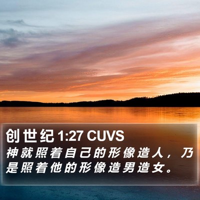 创 世 纪 1:27 CUVS Bible Verse Image
