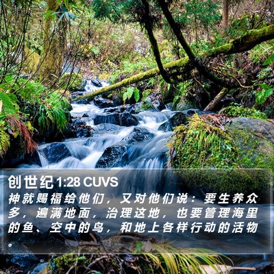 创 世 纪 1:28 CUVS Bible Verse Image