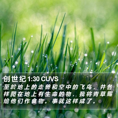 创 世 纪 1:30 CUVS Bible Verse Image