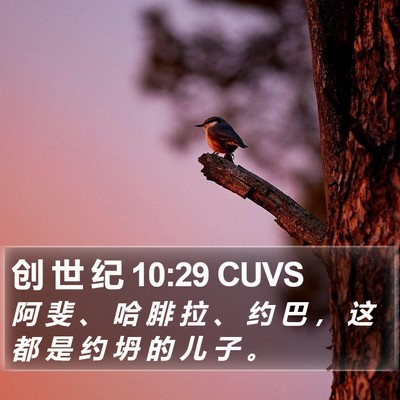 创 世 纪 10:29 CUVS Bible Verse Image