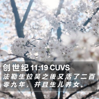 创 世 纪 11:19 CUVS Bible Verse Image