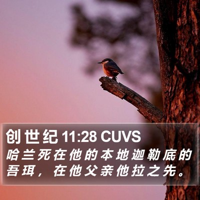 创 世 纪 11:28 CUVS Bible Verse Image