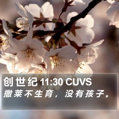 创 世 纪 11:30 CUVS Bible Verse Image