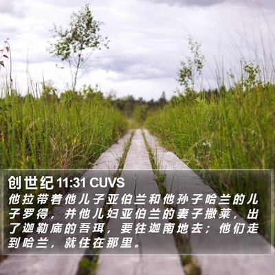 创 世 纪 11:31 CUVS Bible Verse Image