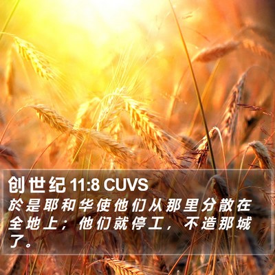 创 世 纪 11:8 CUVS Bible Verse Image