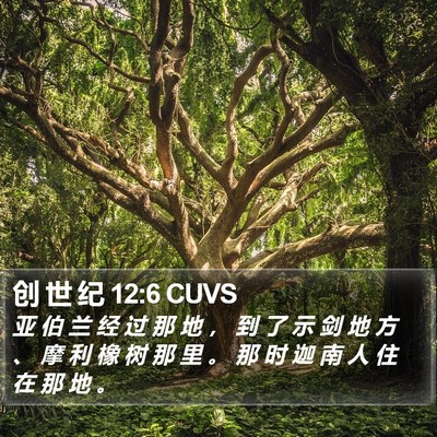 创 世 纪 12:6 CUVS Bible Verse Image