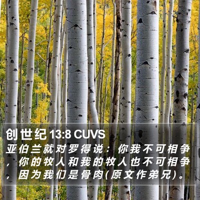 创 世 纪 13:8 CUVS Bible Verse Image