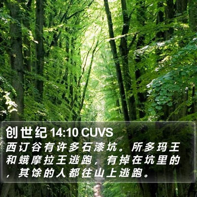 创 世 纪 14:10 CUVS Bible Verse Image