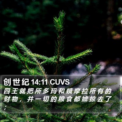 创 世 纪 14:11 CUVS Bible Verse Image