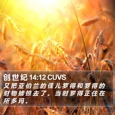 创 世 纪 14:12 CUVS Bible Verse Image