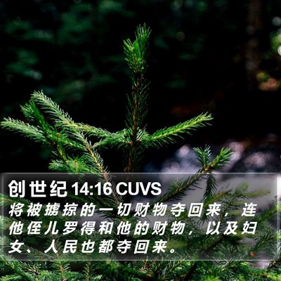 创 世 纪 14:16 CUVS Bible Verse Image