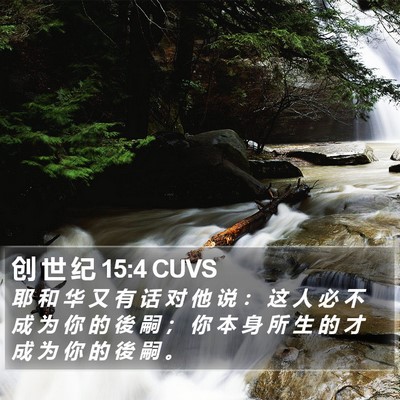 创 世 纪 15:4 CUVS Bible Verse Image