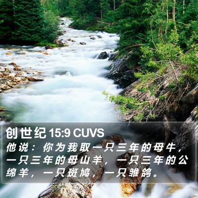 创 世 纪 15:9 CUVS Bible Verse Image