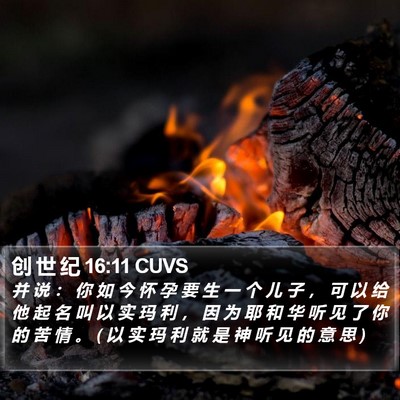 创 世 纪 16:11 CUVS Bible Verse Image