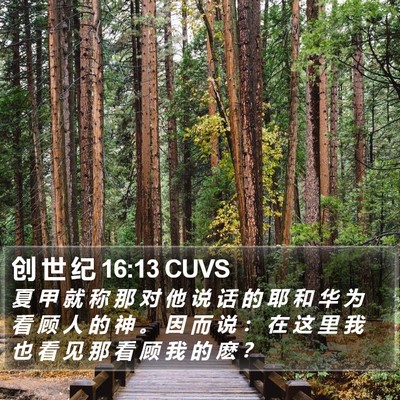 创 世 纪 16:13 CUVS Bible Verse Image