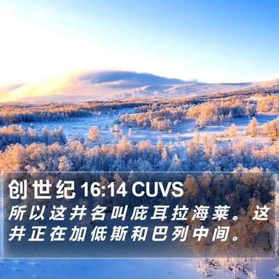 创 世 纪 16:14 CUVS Bible Verse Image