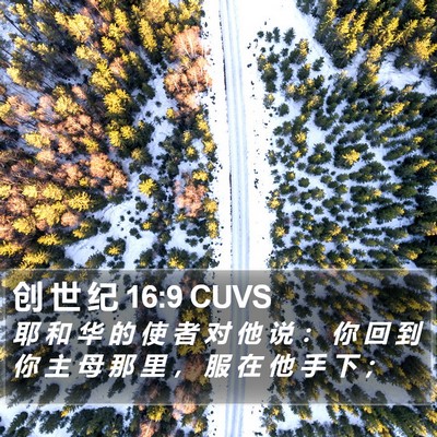 创 世 纪 16:9 CUVS Bible Verse Image