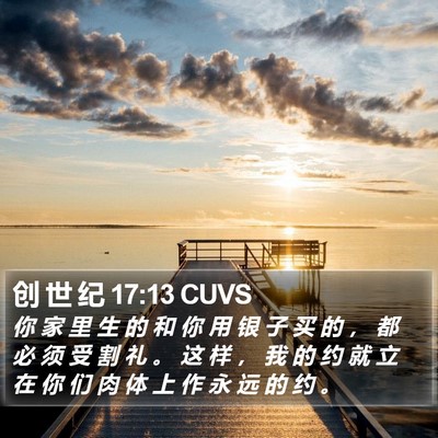 创 世 纪 17:13 CUVS Bible Verse Image